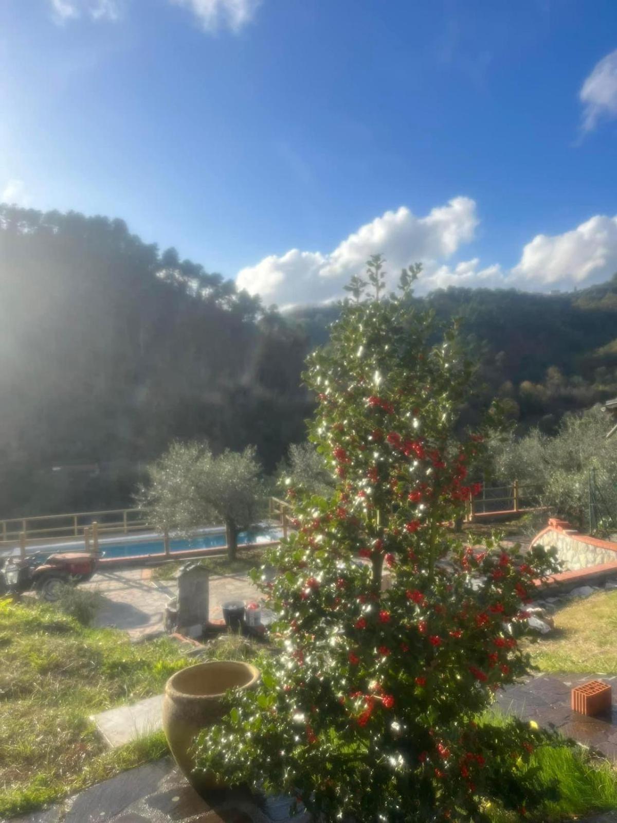 Podere Il Glicine Wellness Charme & Relax Fresonara  Exterior photo